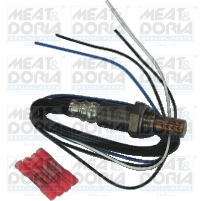 Oxygen Sensor